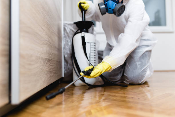 Best Pest Prevention Services  in Dresden, OH