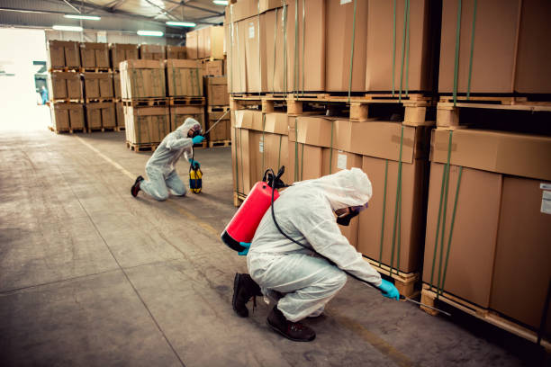 Best Pest Inspection Near Me  in Dresden, OH