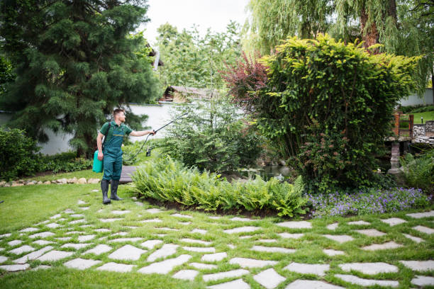 Best Wasp Removal Services  in Dresden, OH