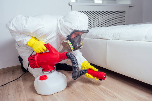 Best Rat Extermination Near Me  in Dresden, OH