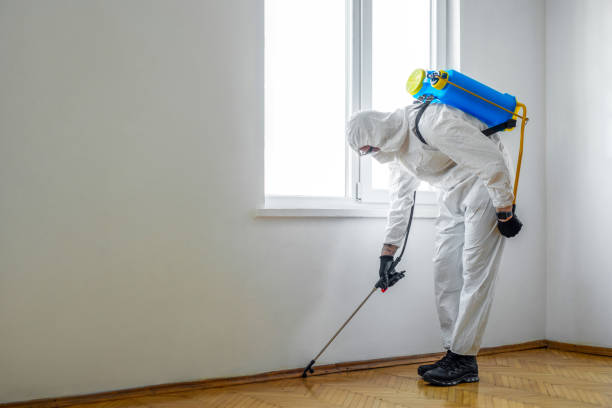 Professional Pest Control in Dresden, OH