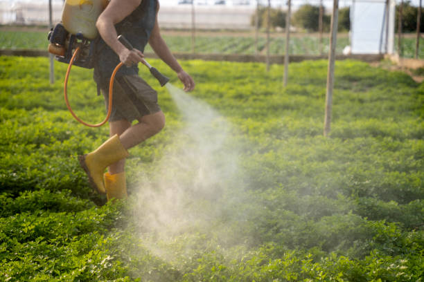 Best Local Pest Control Services  in Dresden, OH