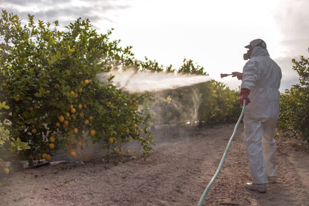 Best Pest Prevention Services  in Dresden, OH