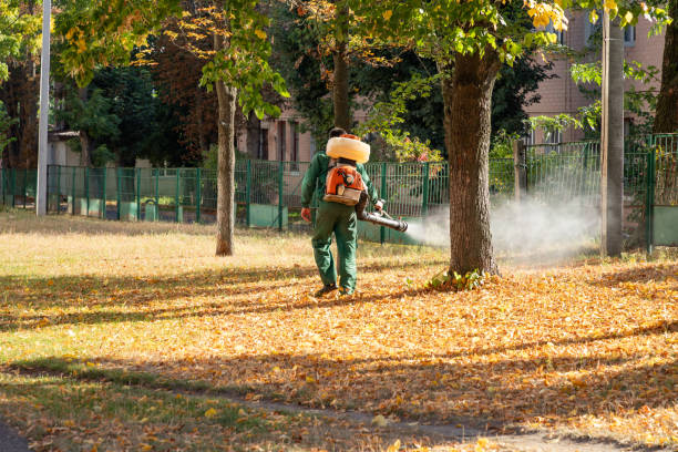 Best Termite Control Services  in Dresden, OH