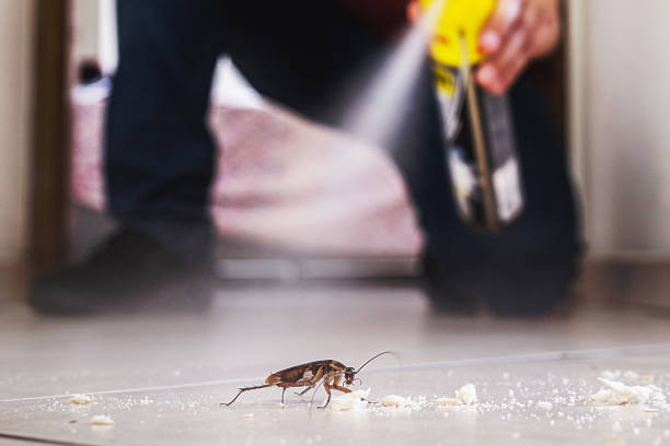 Best Pest Control Near Me in Dresden, OH