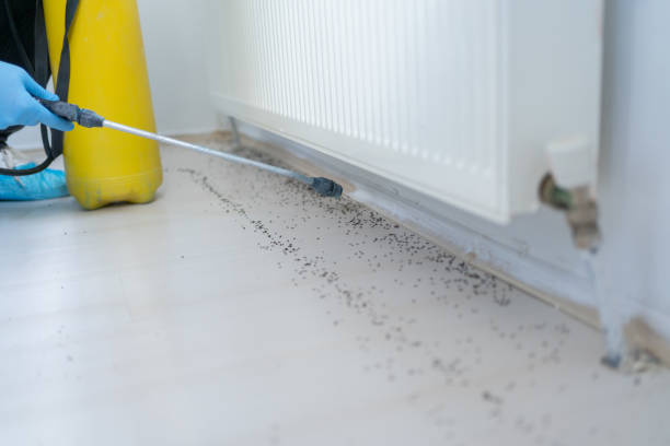 Best Cockroach Control Services  in Dresden, OH